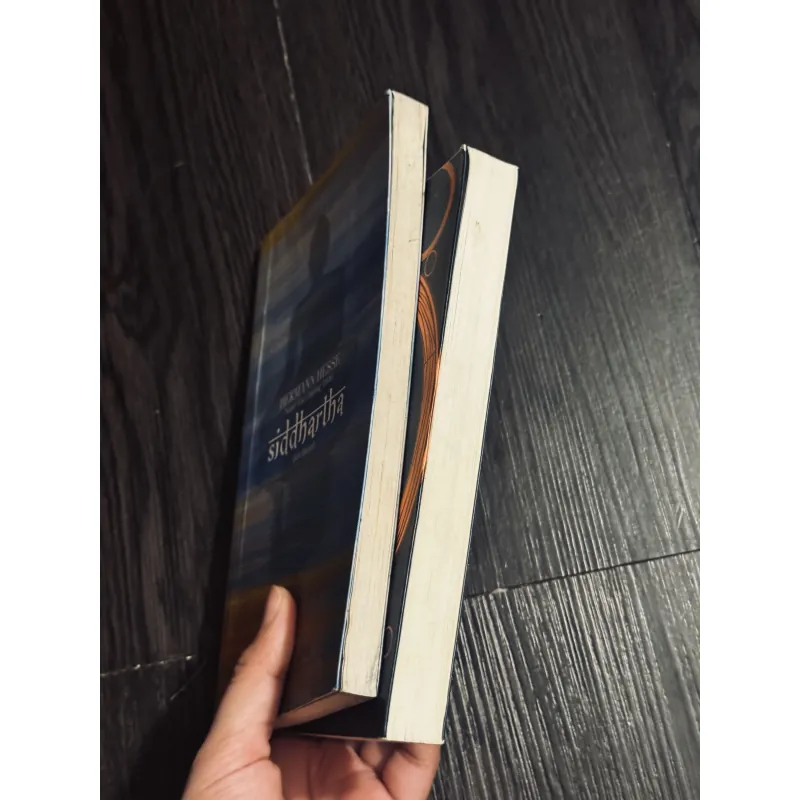 Combo 2c Hermann Hesse 994195