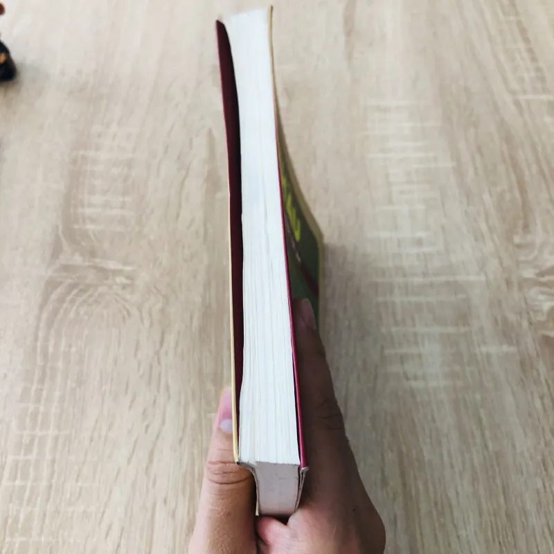 BÚT KÝ CHÂN DUNG NGHỆ SĨ MỸ CHÂU 975784