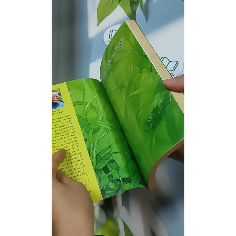 Dế Mèn phiêu lưu ký 698592