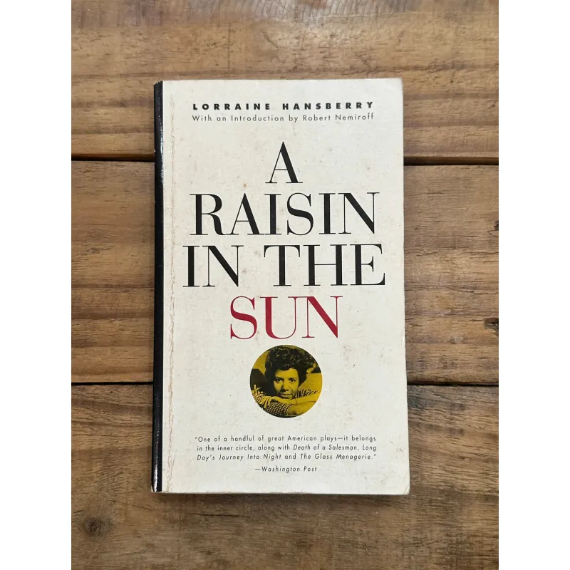 A Raisin in the Sun - Lorraine Hansberry 735422