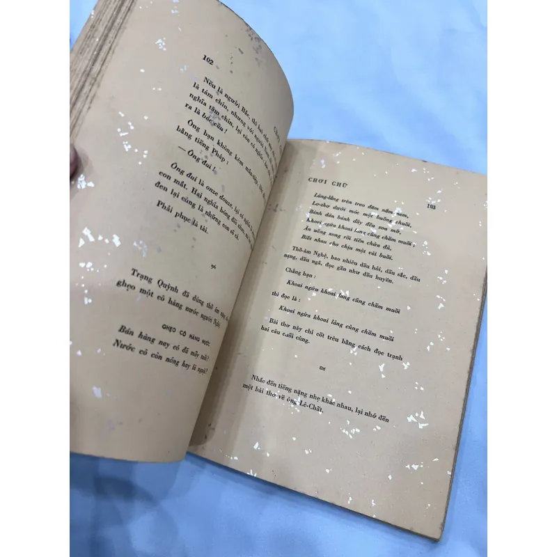 Chơi chữ - Lãng Nhân (bản đặc biệt có thủ bút tác giả) 589172