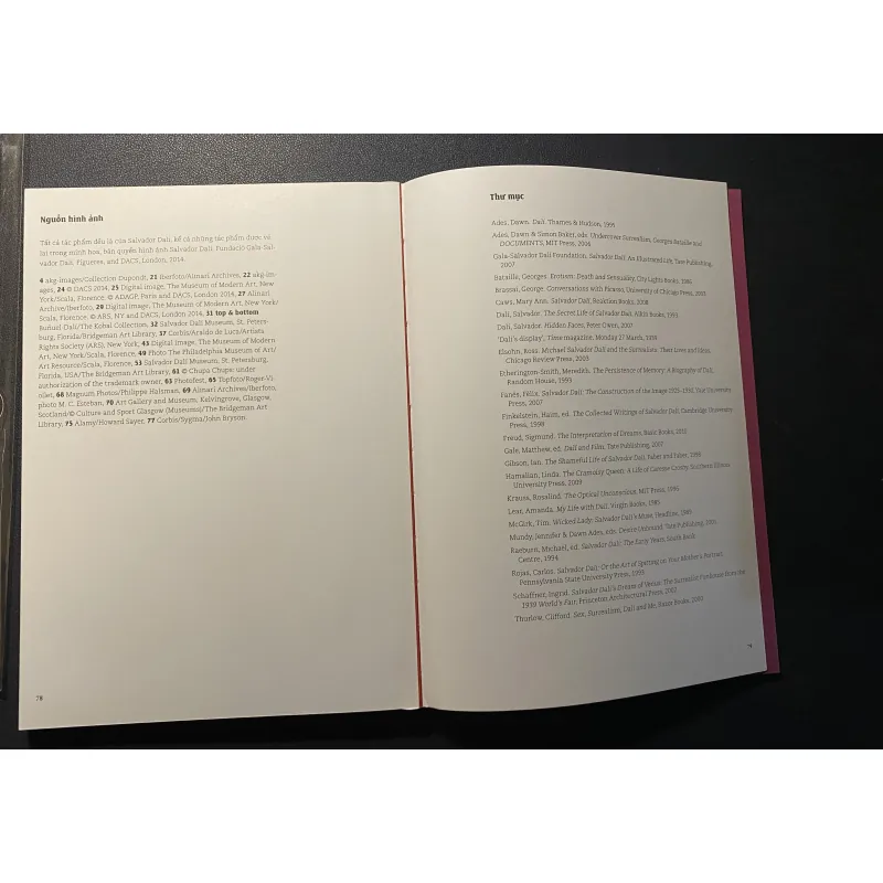 Đây là Dalis- Đông A 1013581