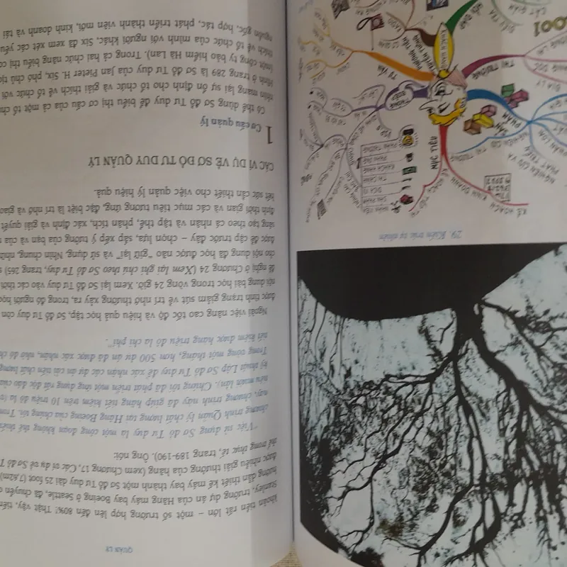 Sơ đồ tư duy của Tony Buzan  572392