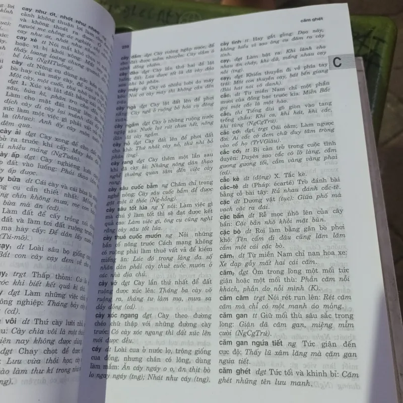 Từ Điển Từ Và Ngữ Việt - Nam - Nguyễn Lân 1011377