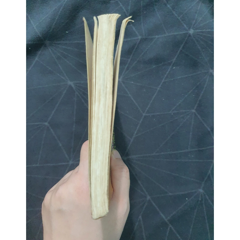 Lưu Thiếu Kỳ & Ân oán Trung Nam Hải 498939