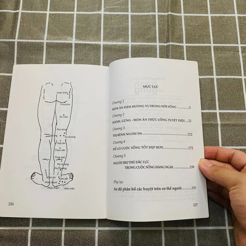 Tác dụng kỳ diệu của hành và gừng - Trần Biểu Cúc, Ngô Tín#HATRA 1036563
