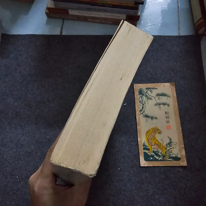 Đường xưa mây trắng - Thích nhất hạnh 753098