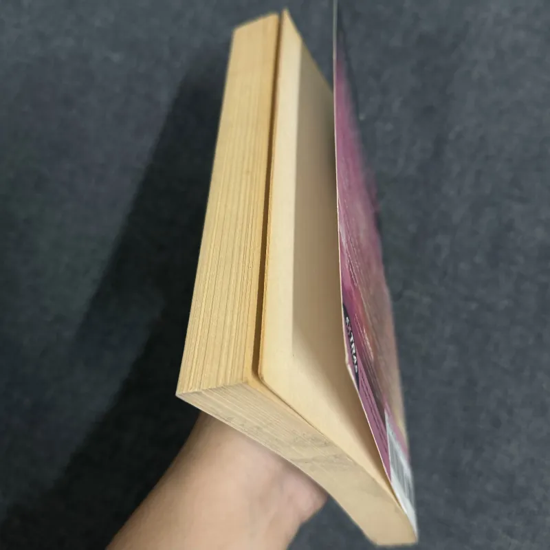 Inside Out & Back Again - Lại Thanh Hà 1031727