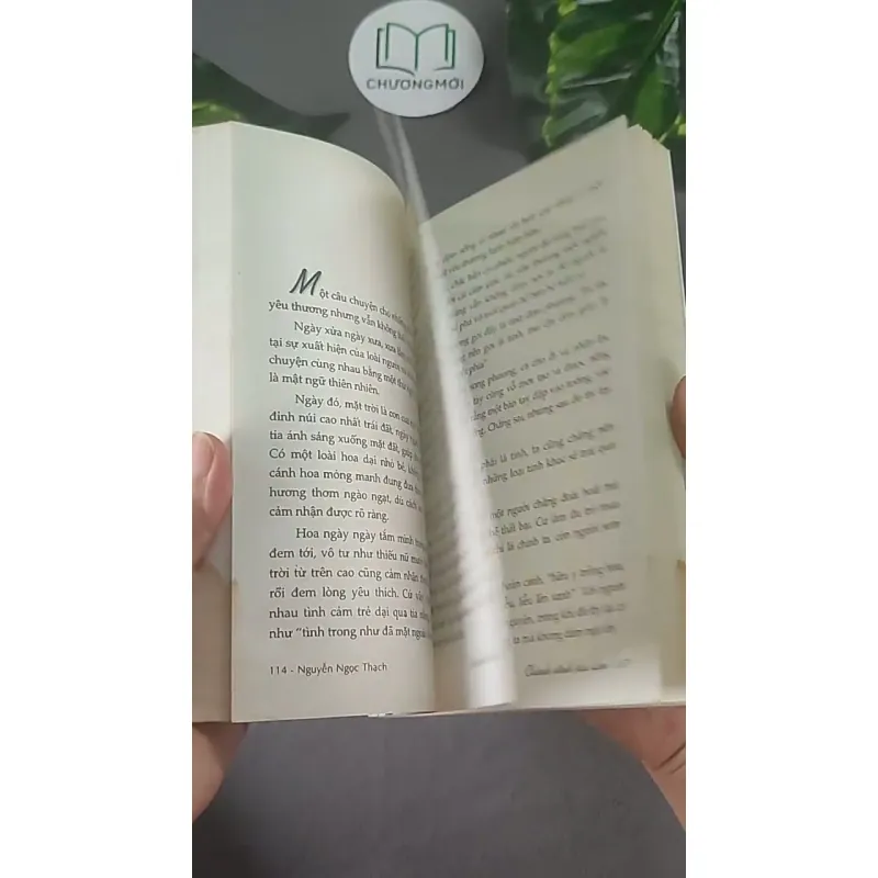 Chênh Vênh Hai Lăm - Nguyễn Ngọc Thạch 604610