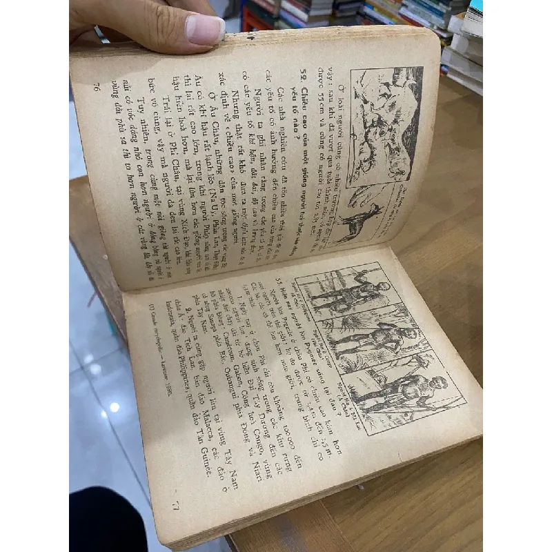 Biển cái nôi của sự sống - Lý Thái Thuận 127203