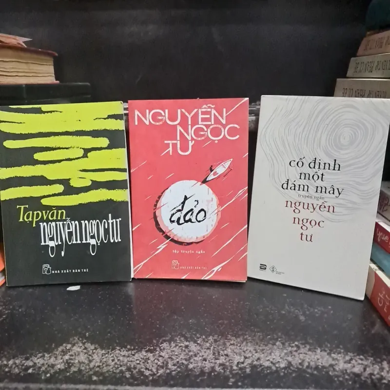 Nguyễn Ngọc Tư 1027684