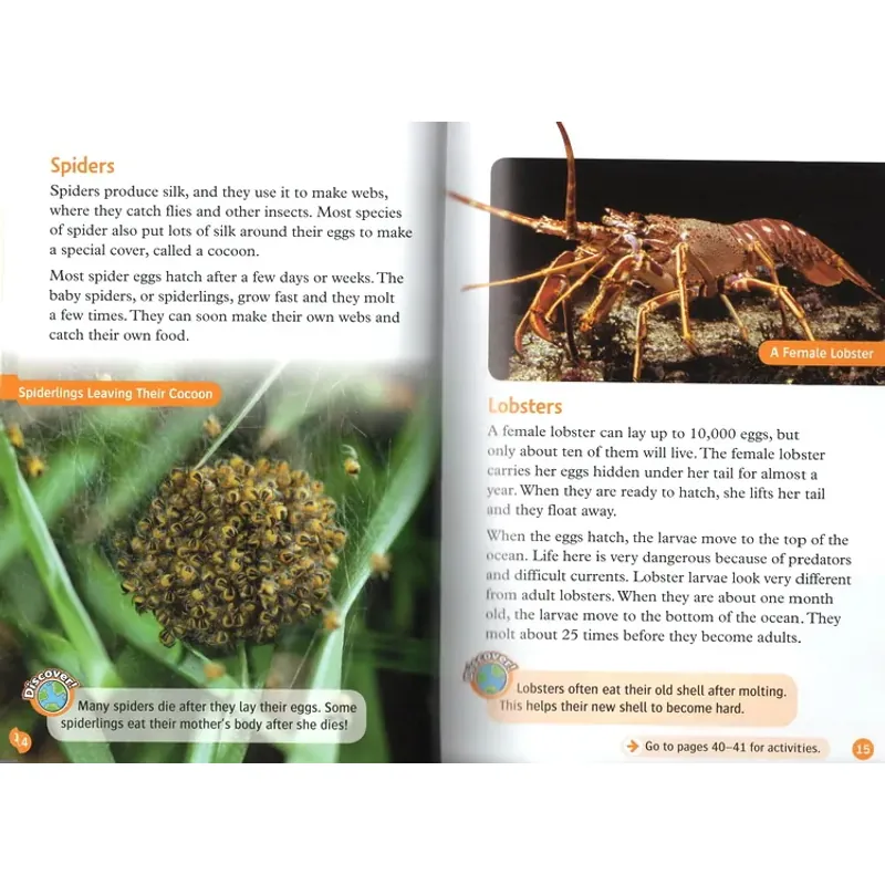 Oxford read and discover (Sách nhập) - Level 5 - 14 quyển + File Mp3 1038358