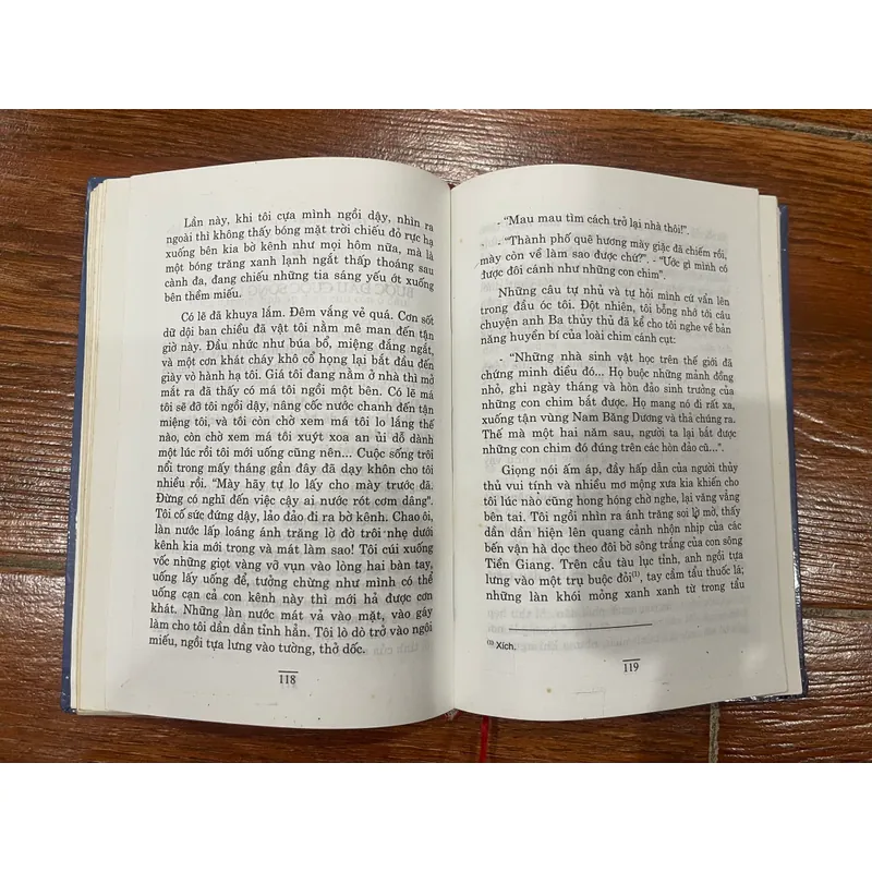 Đất rừng phương Nam (9) 558137