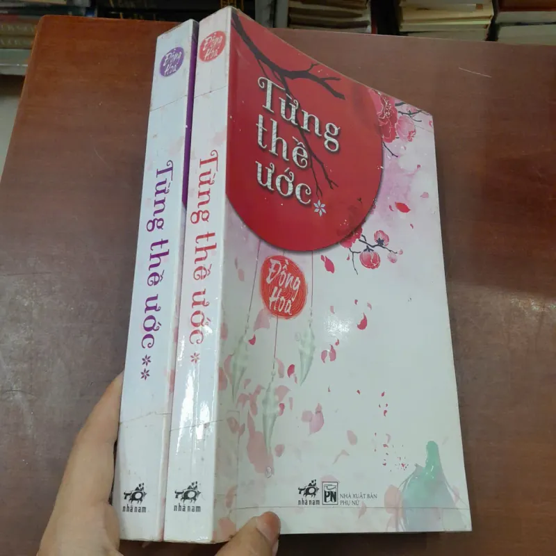 TỪNG THỀ ƯỚC - ĐỒNG HOA ( TỐ HINH DỊCH) 996012