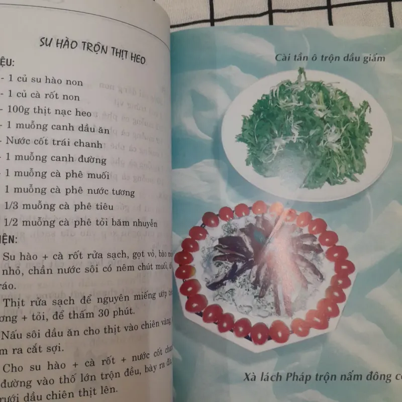 Sách nấu ăn- CÁC MÓN RAU TRỘN (SALAD) tg. QUỲNH CHI 757641