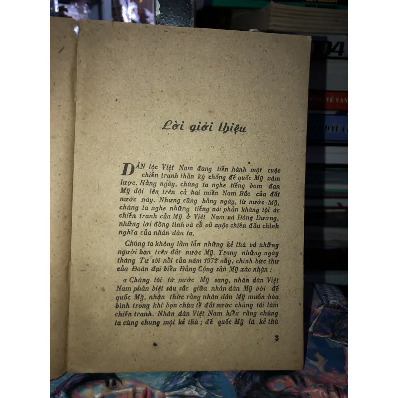 Hoa dại     975933