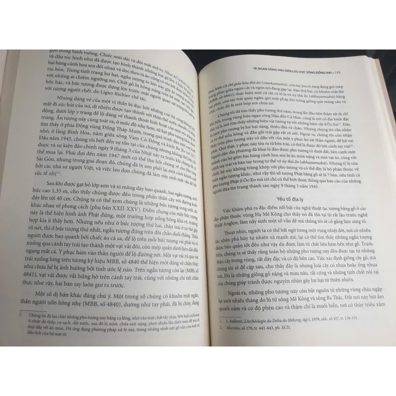 Khảo Cổ Học Đồng Bằng Sông Mê Kông - Tập 4 - Tả Ngạn Sông Hậu Đến Lưu Vực Sông Đồng Nai 707793