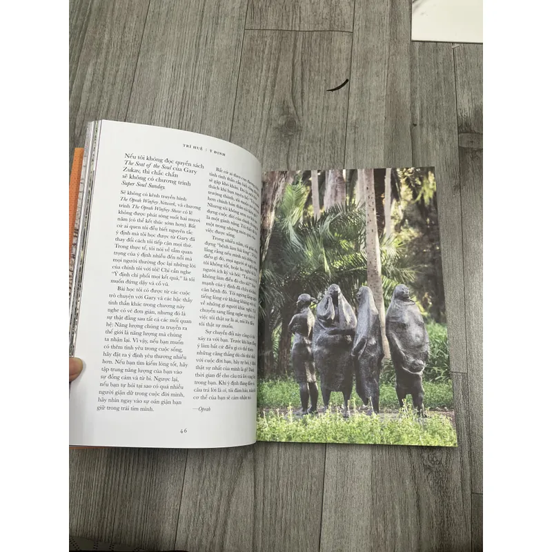 Trí tuệ những hiểu biết thay đổi cuộc đời- Oprah winfrey. 7a1 738681