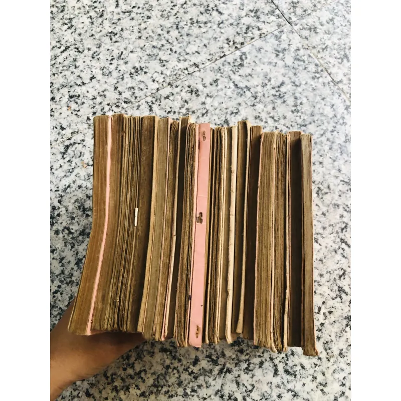 17 cuốn tiểu thuyết Hồ Biểu Chánh 960049