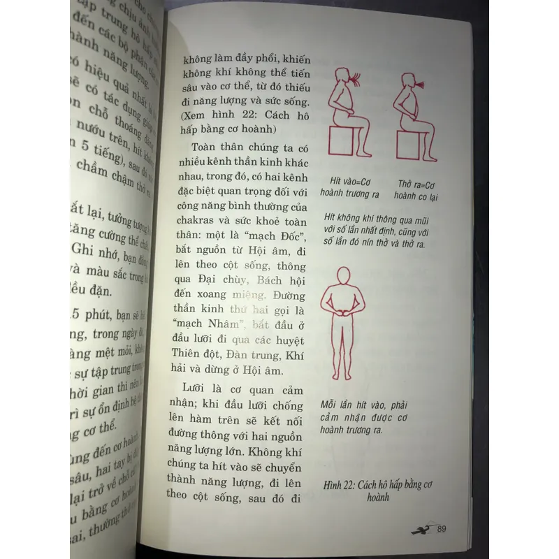 Chữa bệnh bẳng màu sắc  714179