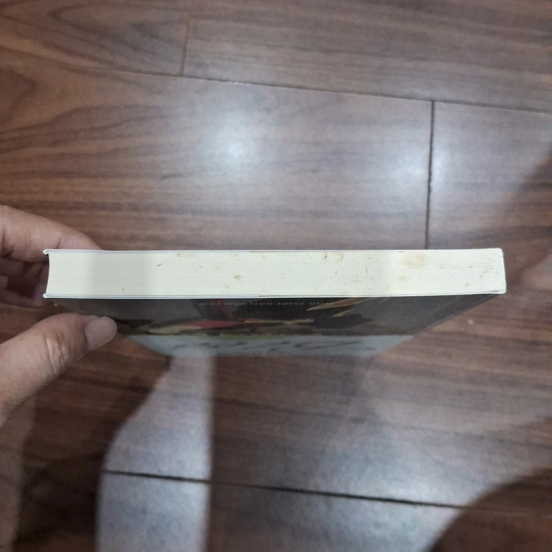 Bỉ vỏ - nguyên hồng 516468