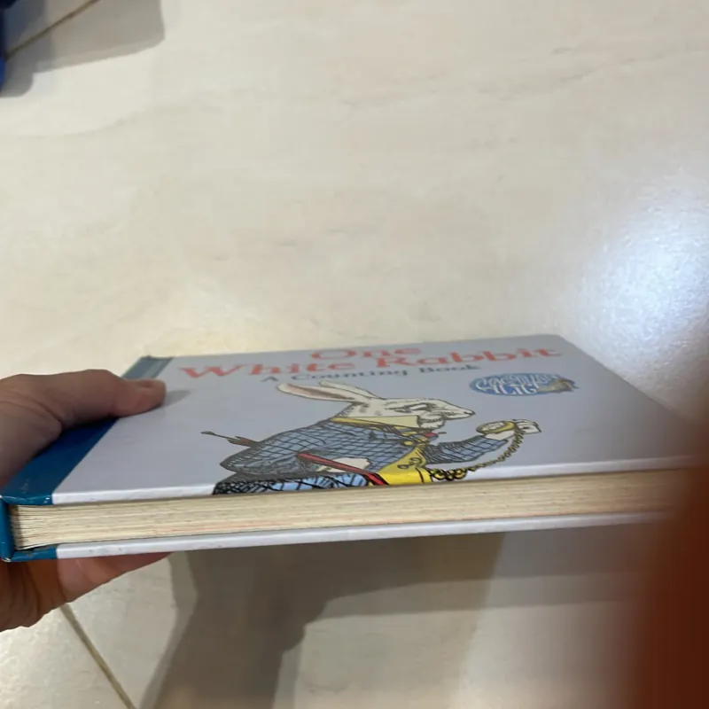 NGOẠI VĂN trẻ em : one white rabbit a countjng book - the macmillan uk  1027534