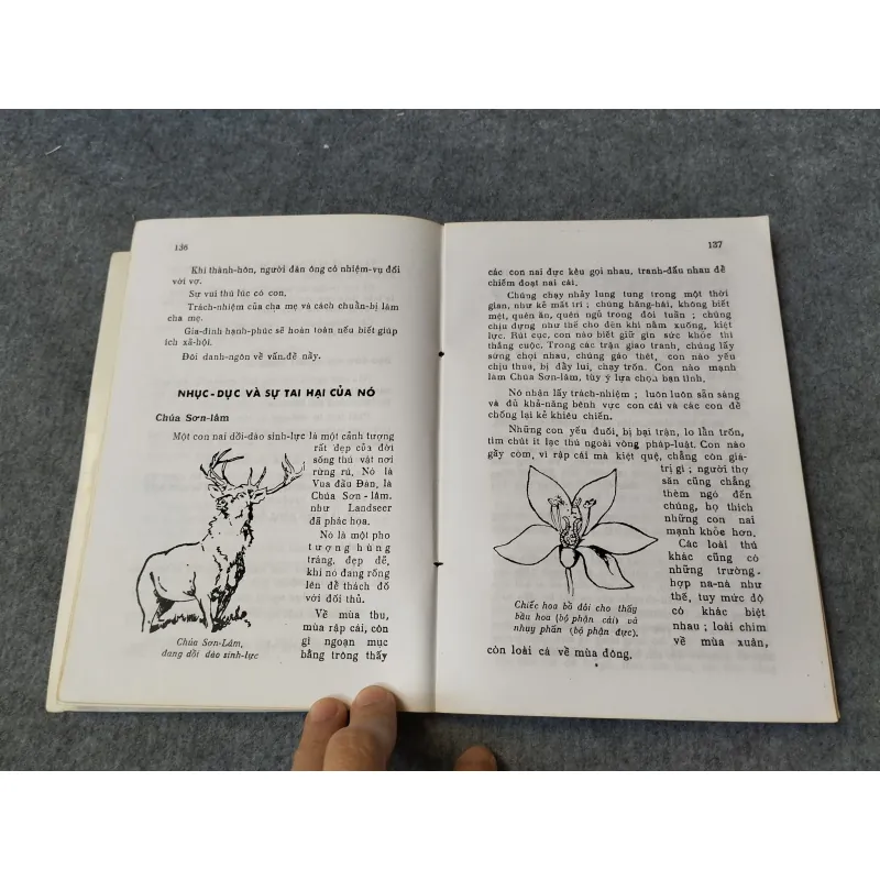 ĐƯỜNG THÀNH CÔNG 720031