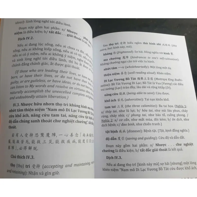 Di Lạc Chơn Kinh Sơ Giải 696852