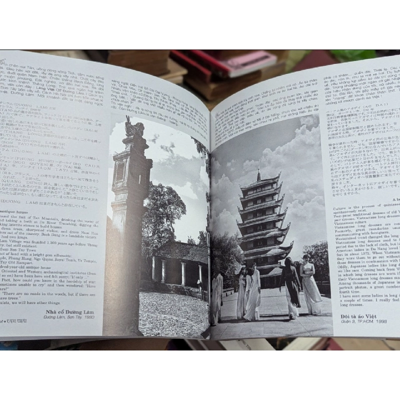 Ký ức miền quê - Tam Thái 181707