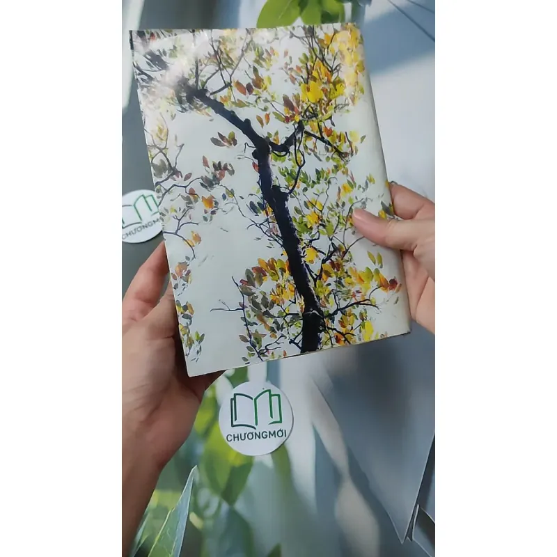 Cao Ly Đầu Hình 928568