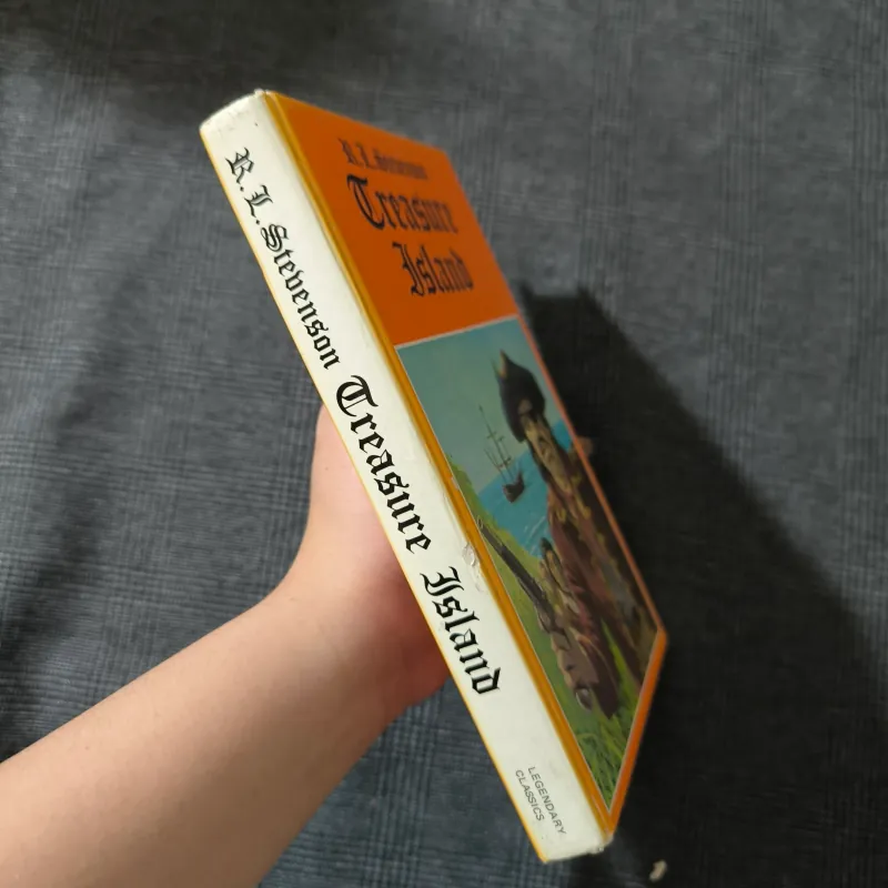 Treasure Island (Hardcover) - Robert Louis Stevenson - Classics 791347