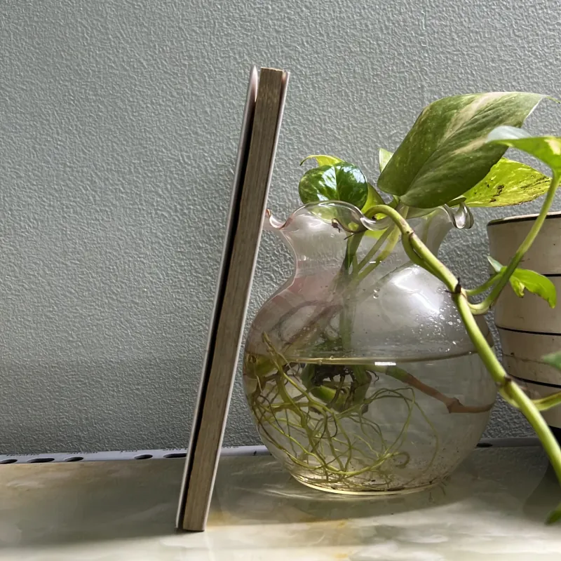 20 phút uỷ thác công việc 763053