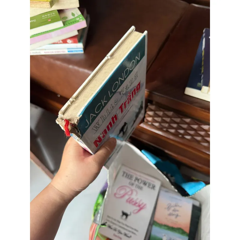 NANH TRẮNG (WHITE FANG) – JACK LONDON | TIỂU THUYẾT KINH ĐIỂN VỀ LOÀI SÓI & SINH TỒN - K3 1010960