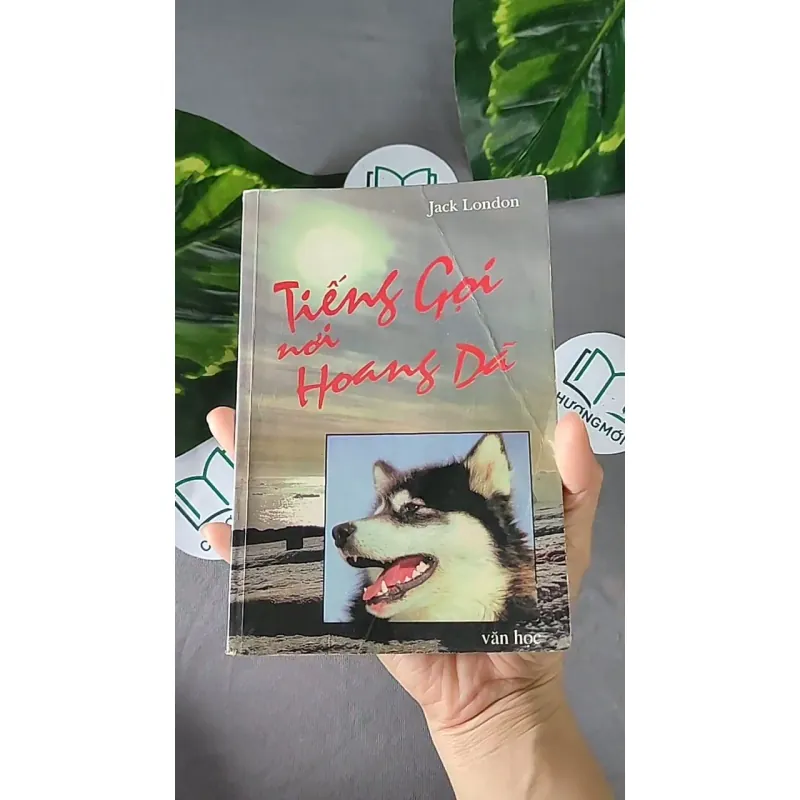 Tiếng Gọi Nơi Hoang Dã (1996) - Jack London 604594