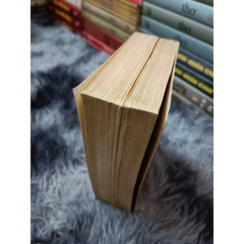 Tang lễ Đạo Hồi (Hoắc Đạt) 523295