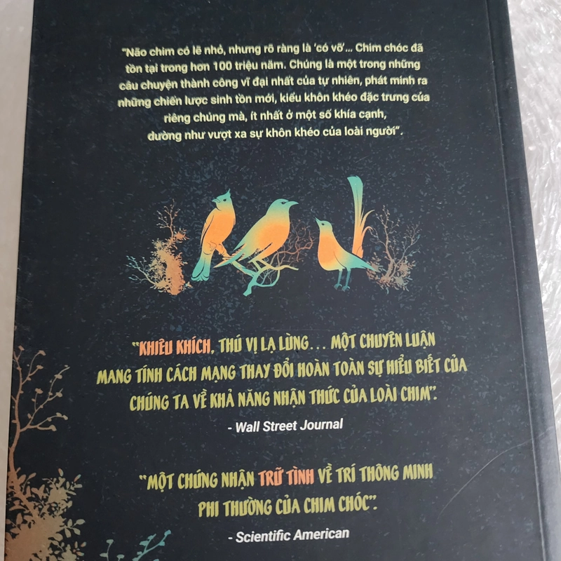Chim chóc chưa bao giờ ngốc | Jennifer Ackerman 517750