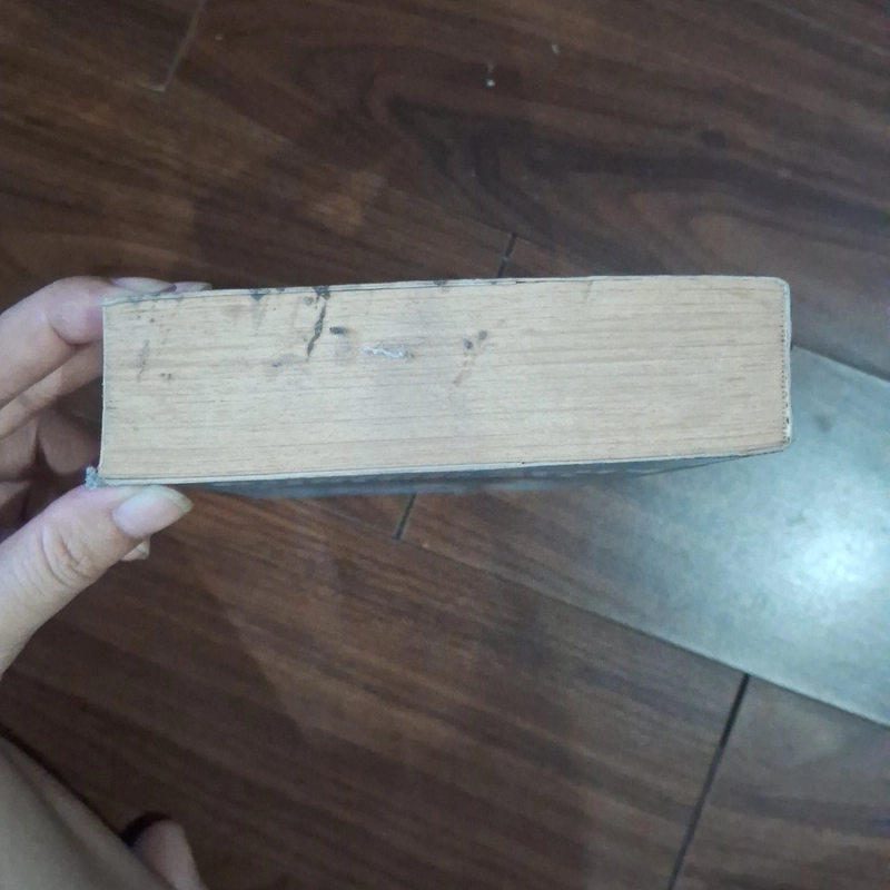 Tương lai khác thường 530248