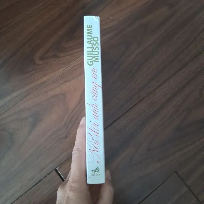 Nếu đời anh vắng em 734265