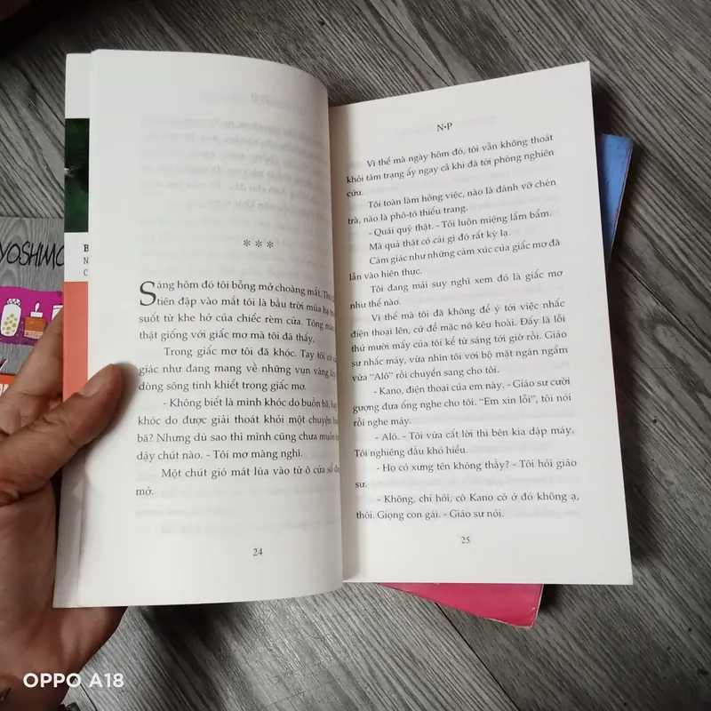 Combo 3c của Bananạ Yoshimoto 596359