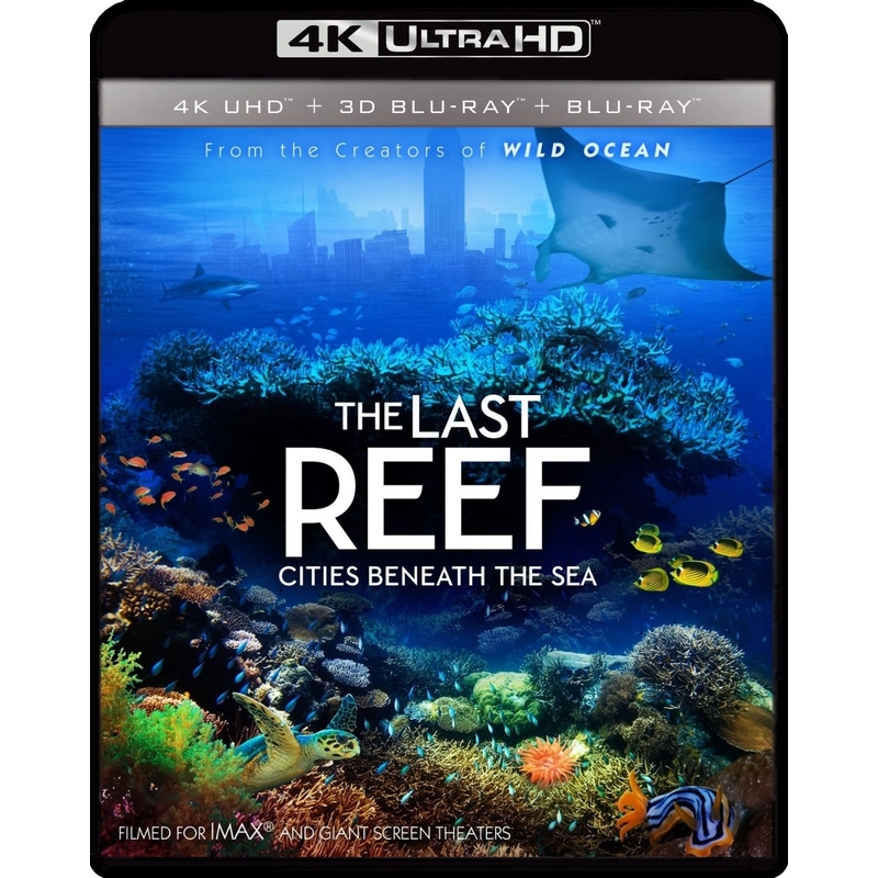 Đĩa BluRay phim tài liệu The Last Reef 2012 UltraHD 4K 2160p 532395