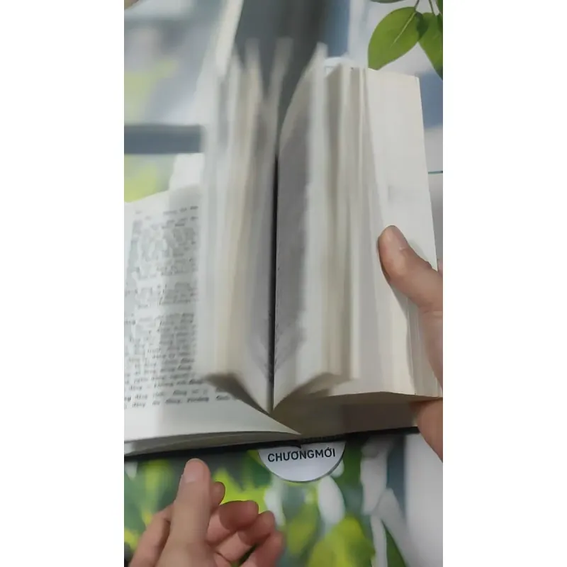 Từ Điển Chính Tả Tiếng Việt Phổ Thông - Nguyễn Văn Khang 727389