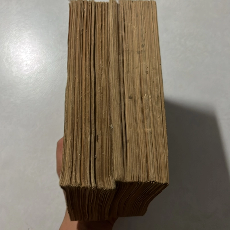 Đệ Nhất phu nhân — Hoàng Trọng Miên — 1988s 495467