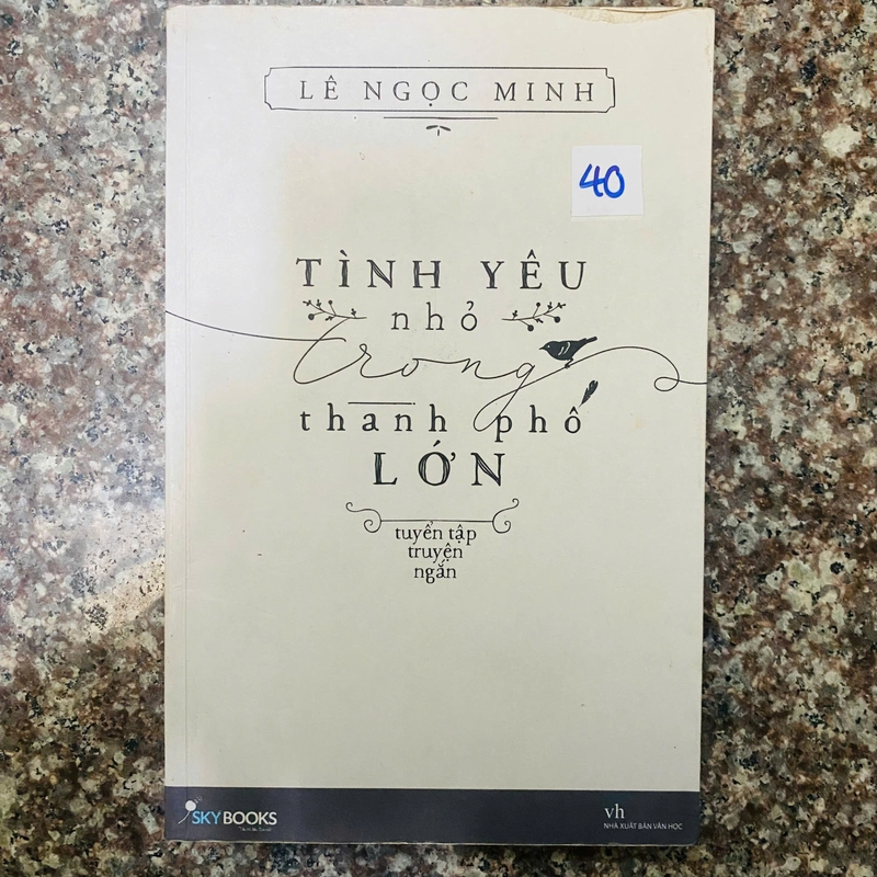 Tình Yêu Nhỏ Trong Thành Phố Lớn- Lê Ngọc Minh 364219