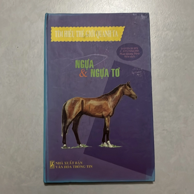 Ngựa và ngựa tơ  518377