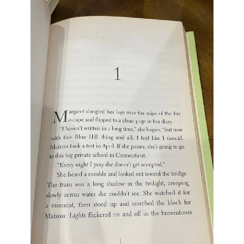 Last Summer with Maizon - Jacqueline Woodson 505427