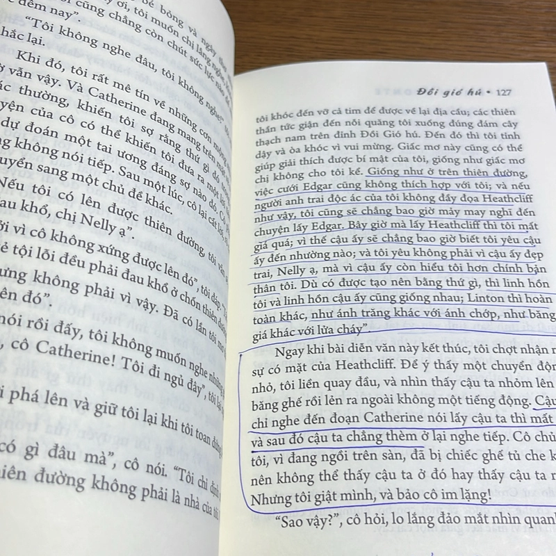 Đồi gió hú Emily Bronte 494961