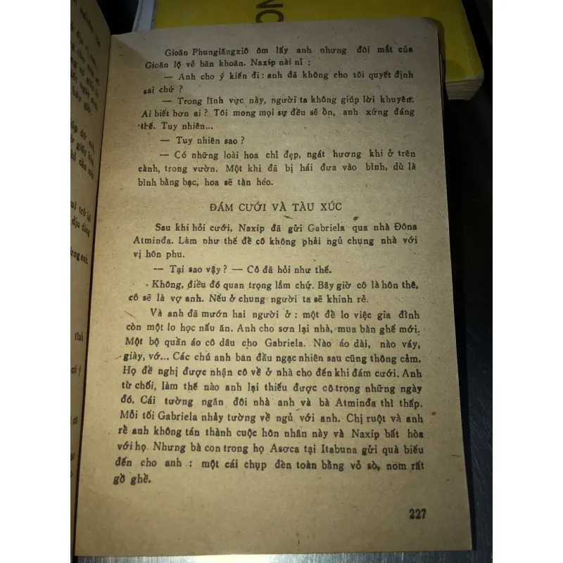 Gabriela Nhành quế và hoa đinh hương - Jorge Amado 928385