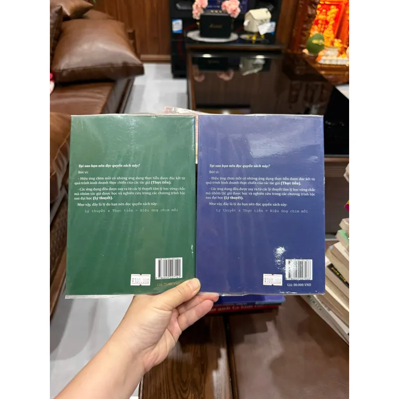 Combo 2 Sách Hiệu Ứng Chim Mồi – Hạo Nhiên, Quốc Khánh- K2 1000202