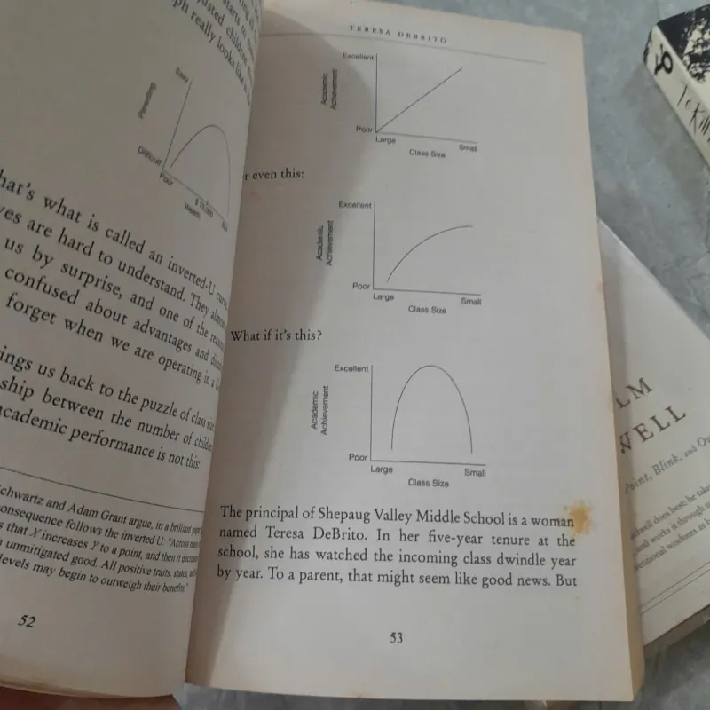 DAVID & GOLIATH - MALCOLM GLADWELL 786949