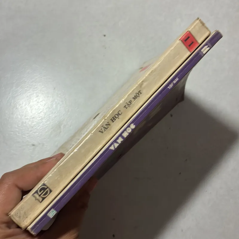 Văn học 11 (2 tập) - 1999s 797135